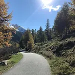 Panoramic *