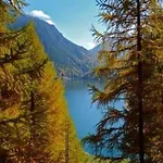 Panoramic *