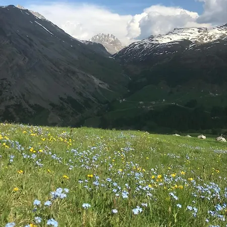 Panoramic 아파트 *