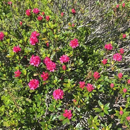 Apartamento Panoramic *