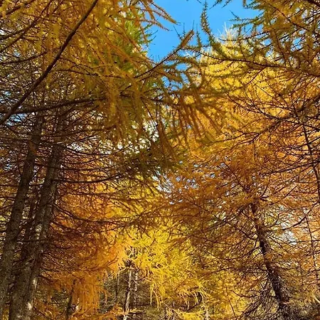 Panoramic Apartamento *