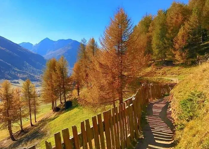 Panoramic