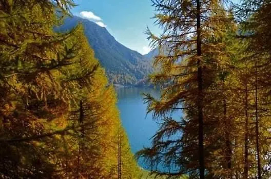 Panoramic *